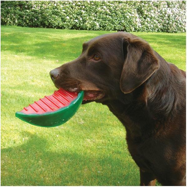 Rosewood Watermelon Biosafe Toy - Ormskirk Pets