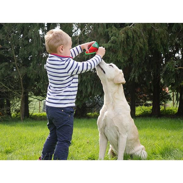 Rosewood Watermelon Biosafe Toy - Ormskirk Pets