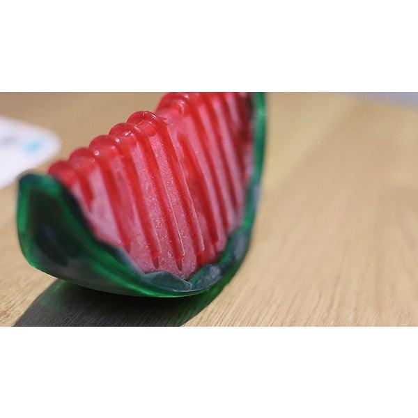 Rosewood Watermelon Biosafe Toy - Ormskirk Pets