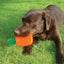 Rosewood Pineapple Biosafe Toy - Ormskirk Pets