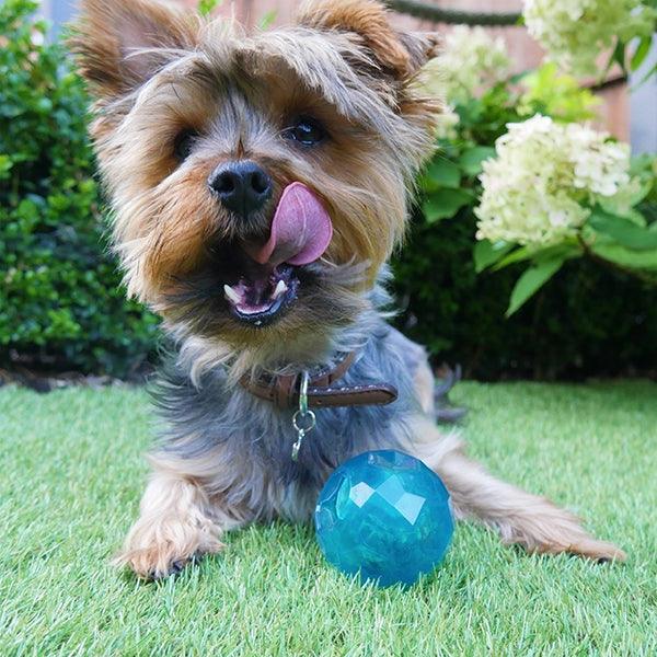 Rosewood BioSafe Puppy Treat Ball blue - Ormskirk Pets