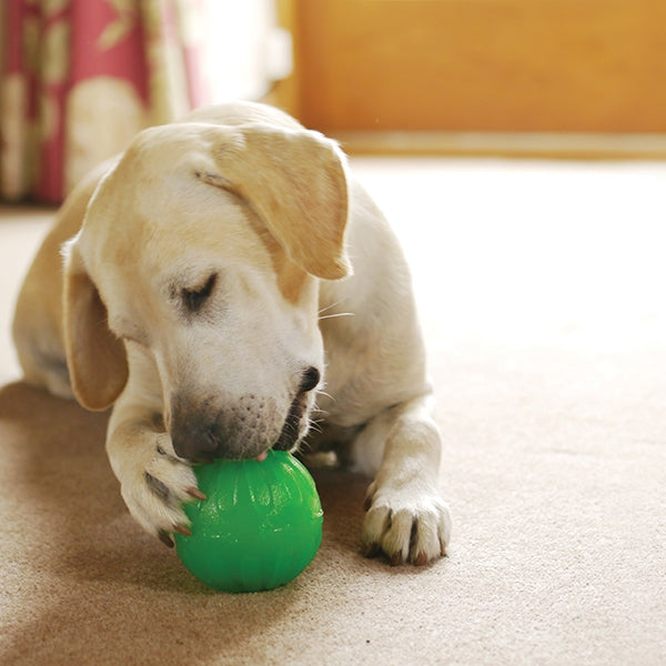 Starmark Chew Ball