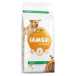 IAMS for Vitality Adult Large Dog Food with Fresh chicken 12kg - Ormskirk Pets