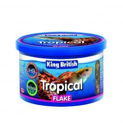 King British Tropical Fish Flake Food 28G - Ormskirk Pets