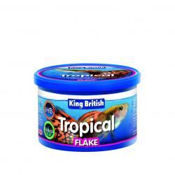 King British Tropical Fish Flake Food 12G - Ormskirk Pets