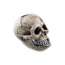 Classic Ornament Spooky Skull 8.5cm - Ormskirk Pets