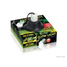 Exo Terra Glow Light Clamp Lamp Med 8.5" - Ormskirk Pets