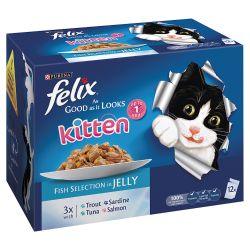 Felix As Good As It Looks Kitten Fish Selection in Jelly 12 Pack 100g