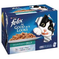 Felix As Good As It Looks Ocean Feasts in Jelly 12 Pack 100g - Ormskirk Pets