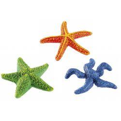 Classic Star Fish 9.5cm - Ormskirk Pets