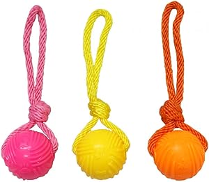 Good Boy Glow in the Dark Ball on Rope Dog Toy