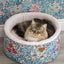 William Morris Round Dog Bed Bower Print