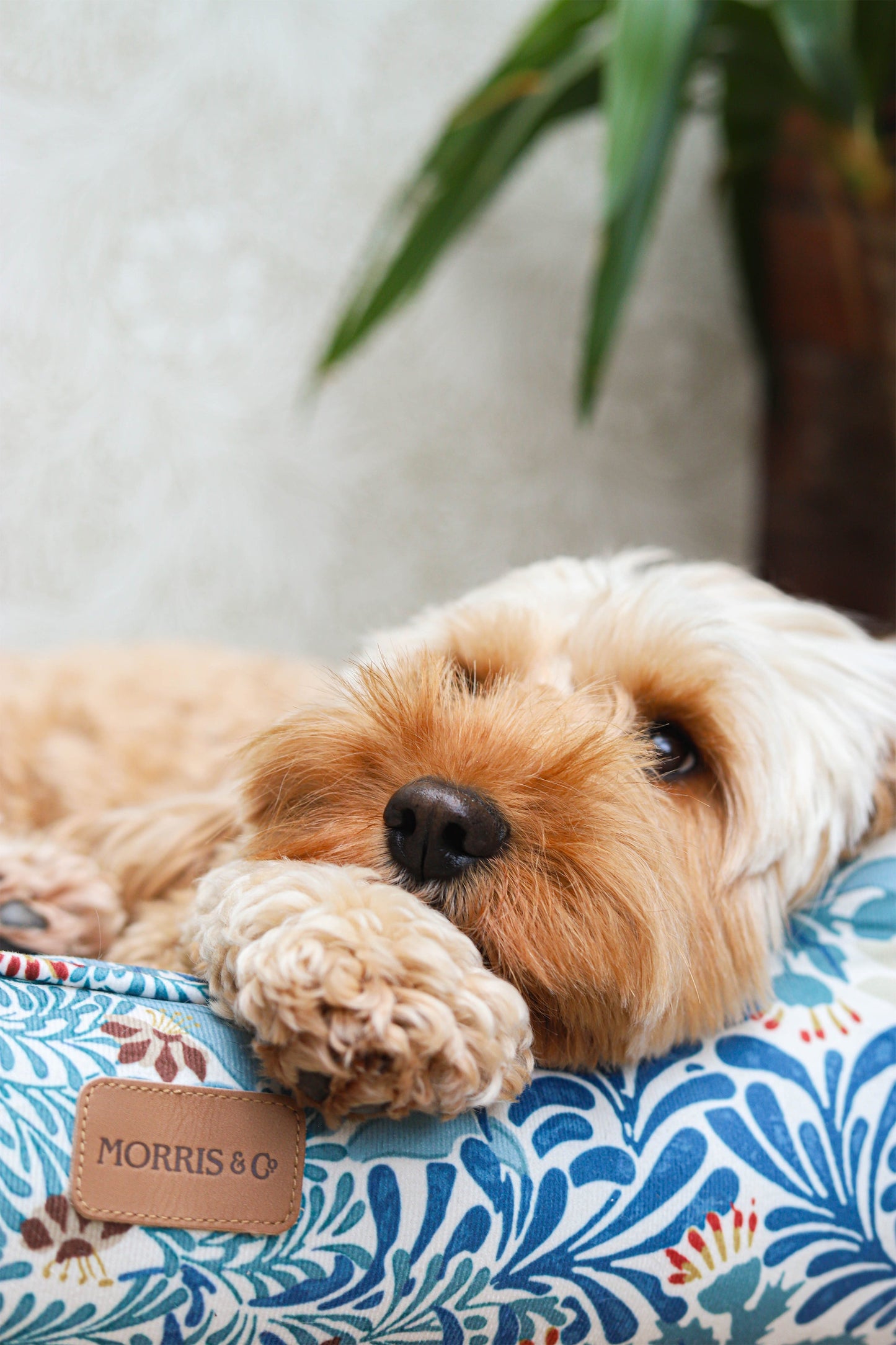 William Morris Square Dog Bed Bower Print