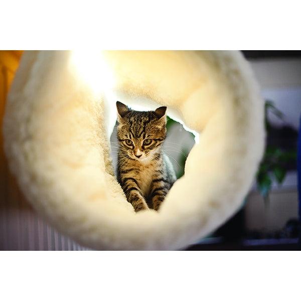 Rosewood Luxury Cat Bed - Ormskirk Pets