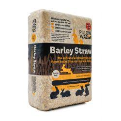 Pillow Wad Barley Straw Bio 2kg - Ormskirk Pets