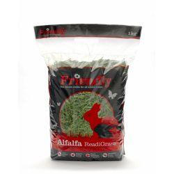 Friendly Alfalfa Readigrass 1kg - Ormskirk Pets