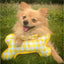 Ancol Sunflower/Yellow Patterned Reversible Bone Toy