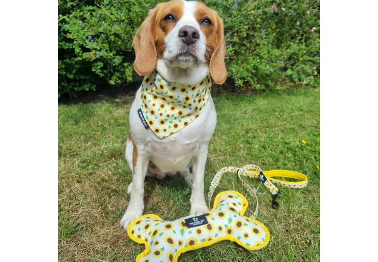 Ancol Sunflower/Yellow Patterned Reversible Bone Toy