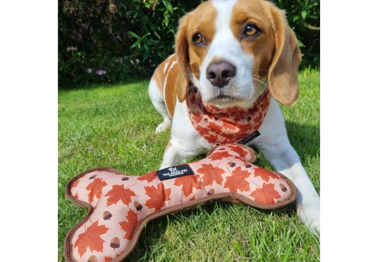 Ancol Maple Leaf/Woodland Patterned Reversible Bone Toy