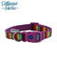 Ancol Rainbow Collar Size