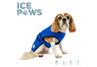 Dog Cooling Coat