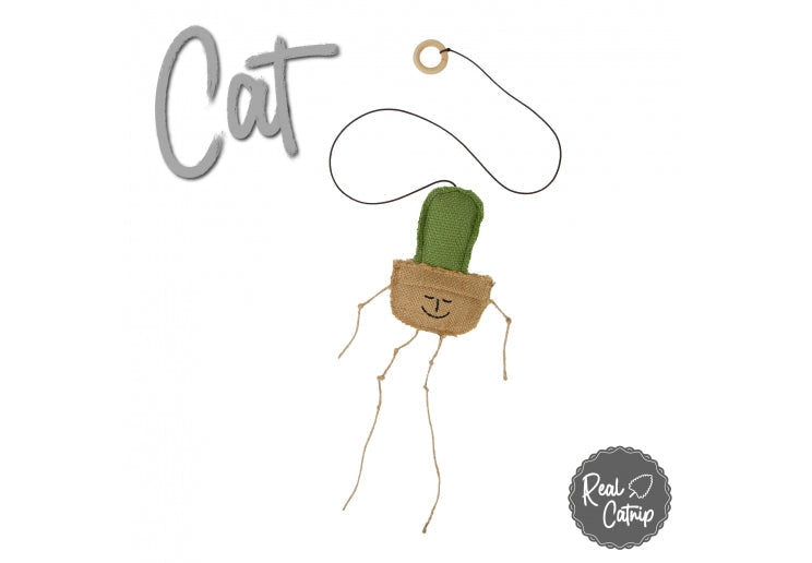 Ancol Interactive Cat Cactus