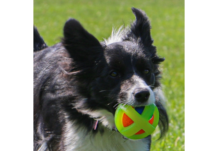 Ancol Framed Tennis Ball