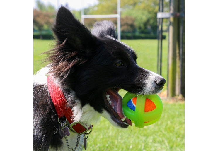 Ancol Framed Tennis Ball