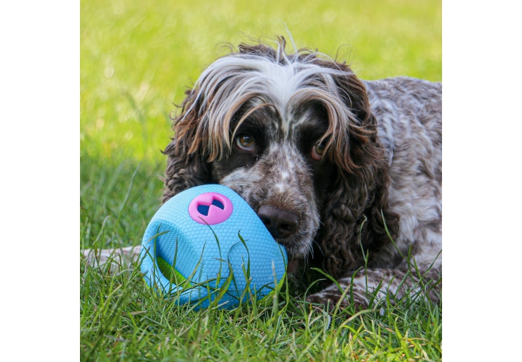 Ancol Squeaky Treat Ball