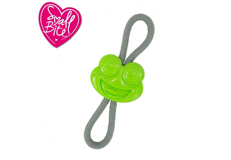 Ancol Small Bite Frog Teether Tugger