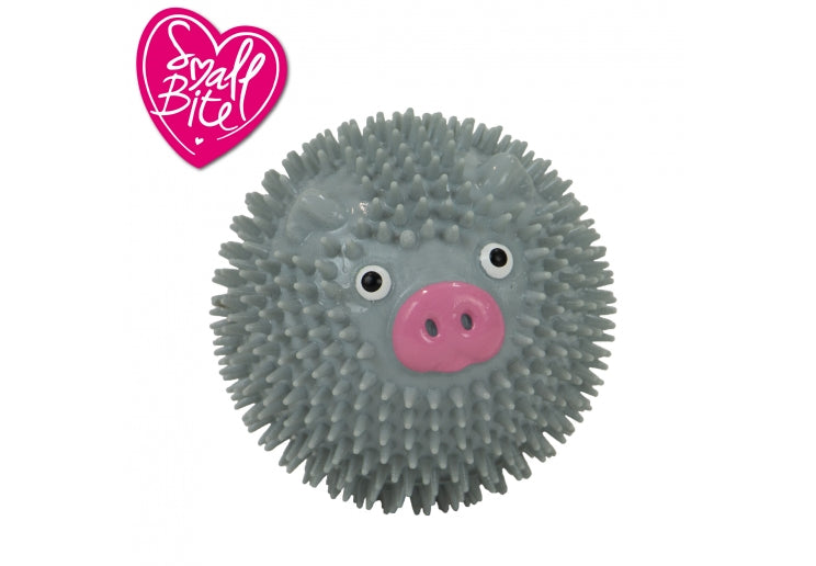 Ancol Small Bite Spikey Pig Ball