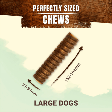 Adventuros Wild Chew Large 200G - Ormskirk Pets