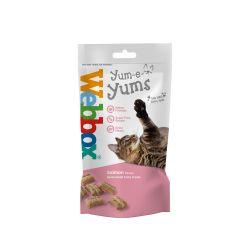 Webbox Cat Yum-e-yums Salmon 40g - Ormskirk Pets