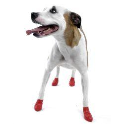 Pawz Dog Boots Red Small 12Pk - Ormskirk Pets