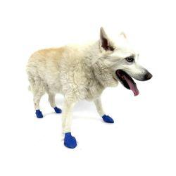 Pawz Dog Boots Blue Medium 12Pk - Ormskirk Pets