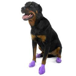 Pawz Dog Boots Purple Large 12Pk - Ormskirk Pets