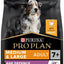 Pro Plan Dog Medium & Large Adult 7+ With Optiage Chicken Dry Food 14Kg - Ormskirk Pets