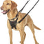 Halti No Pull Harness Medium - Ormskirk Pets