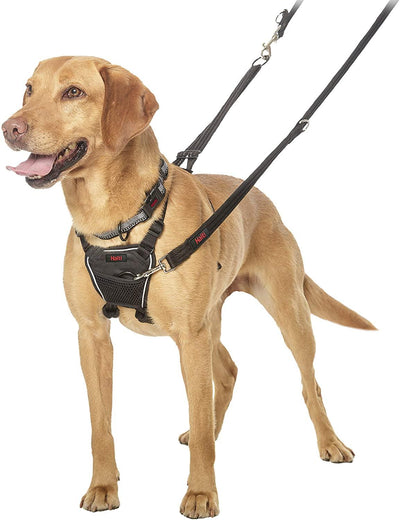 Halti No Pull Harness Medium - Ormskirk Pets