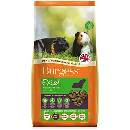 Burgess Excel Guinea Pig Nuggets With Mint 10Kg - Ormskirk Pets