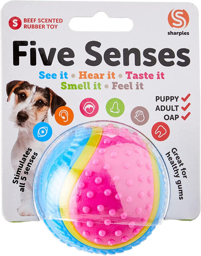 Five Senses Sensory Rubber Ball 6.35cm - Ormskirk Pets