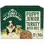 James Wellbeloved Puppy Wet Dog Food Turkey & Rice in Gravy Pouch 12 x 90g - Ormskirk Pets