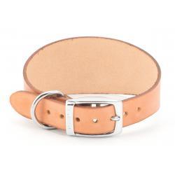 Ancol Greyhound Collar Tan 34-43cm - Ormskirk Pets