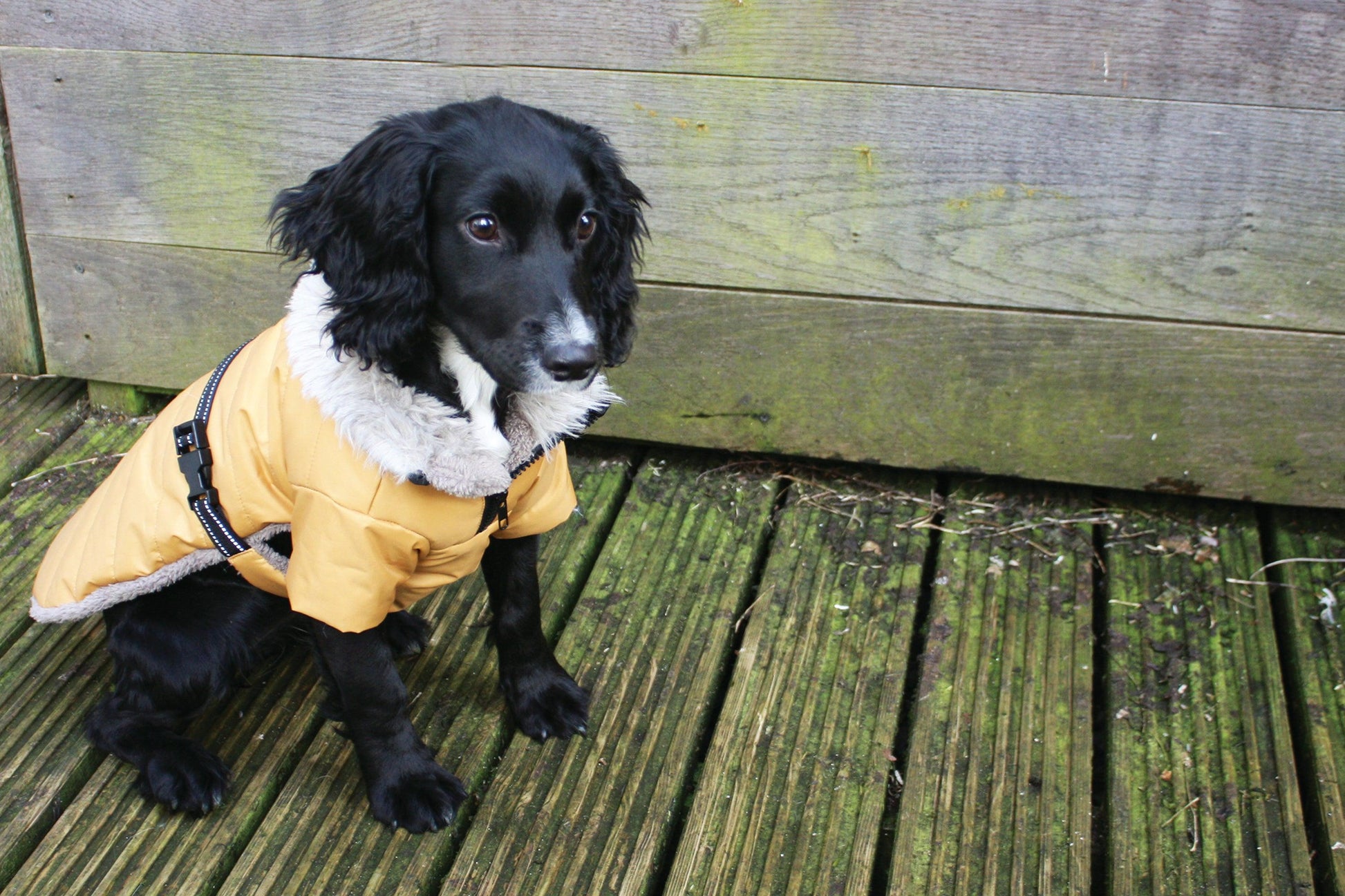 NEW LUXURY Happy Pet Sherpa Winter Coat Cranberry Dog Puppy Coat - Ormskirk Pets