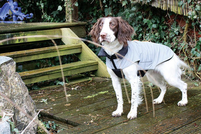 NEW LUXURY Happy Pet Reflective Coat Silver Grey Dog Puppy Coat - Ormskirk Pets