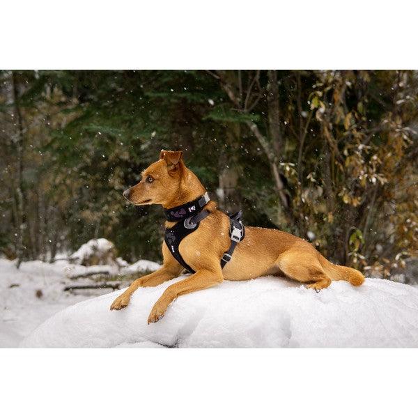 Hurtta Weekend Warrior Harness Raven - Ormskirk Pets