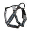 Hurtta Razzle-Dazzle Y-Harness Blackberry - Ormskirk Pets