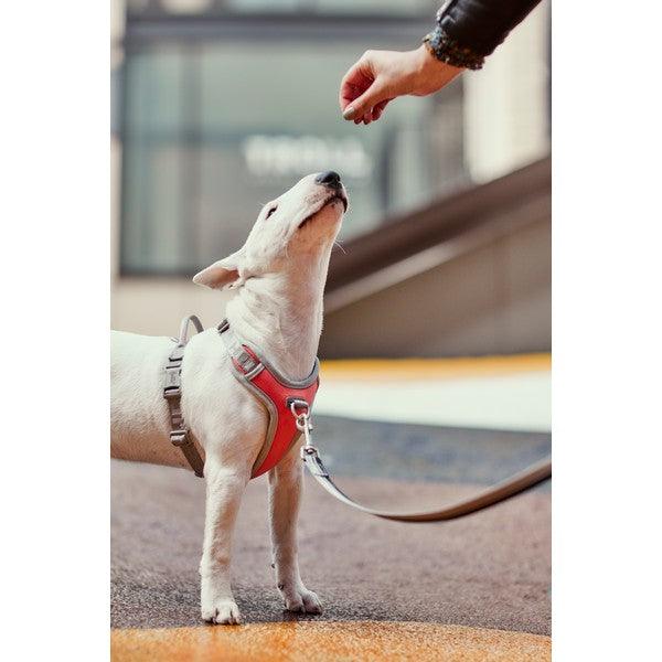 Hurtta Venture No-Pull Harness Coral - Ormskirk Pets