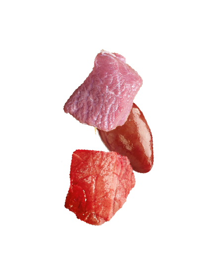 Natures Menu Freeze Dried Lamb Meat Bites 15g