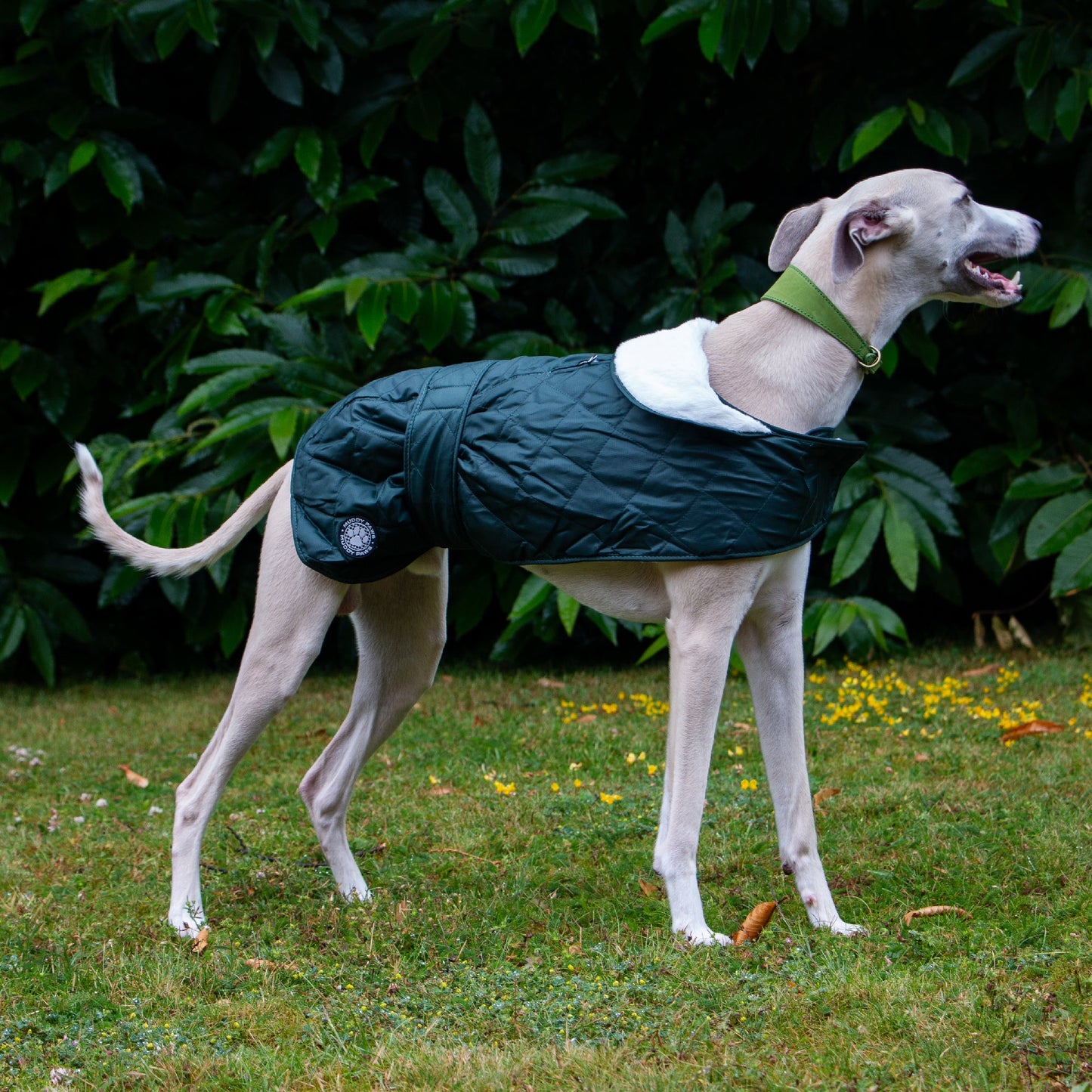 Quilted Hound Coat